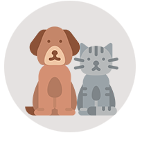 Pets